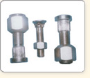 Nuts & Bolts